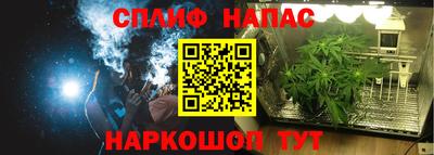 ПСИЛОЦИБИНОВЫЕ ГРИБЫ Бузулук