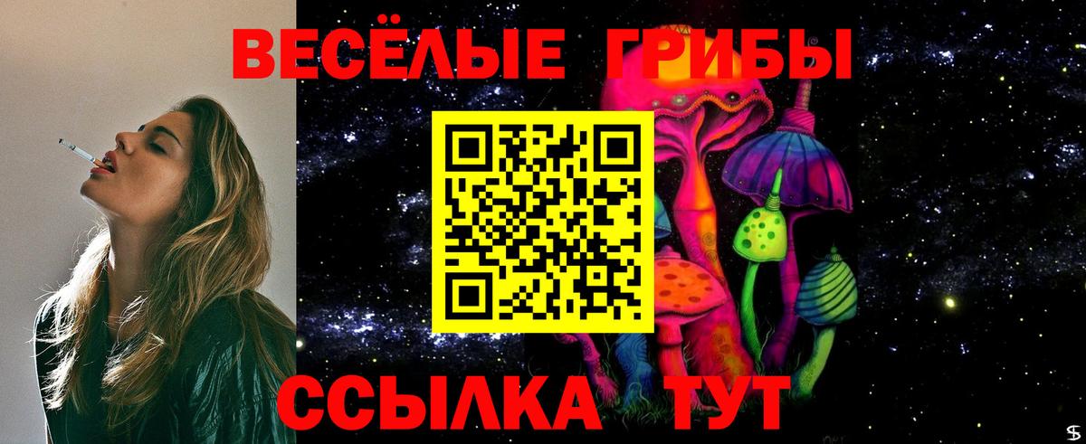 Псилоцибиновые грибы Cubensis Топки